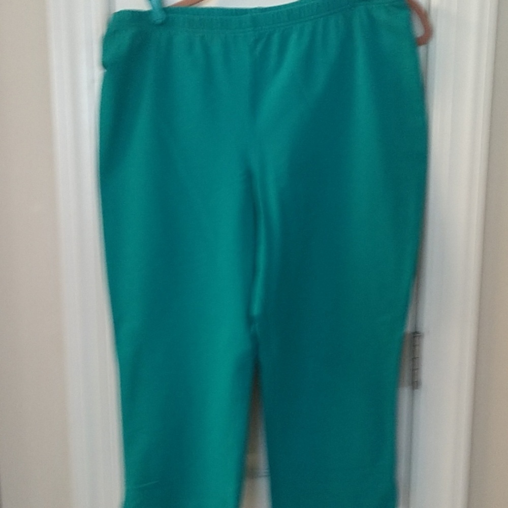 Capris - Picture 3 of 3